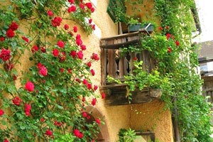 亚洲女足赛场上的精彩之争！