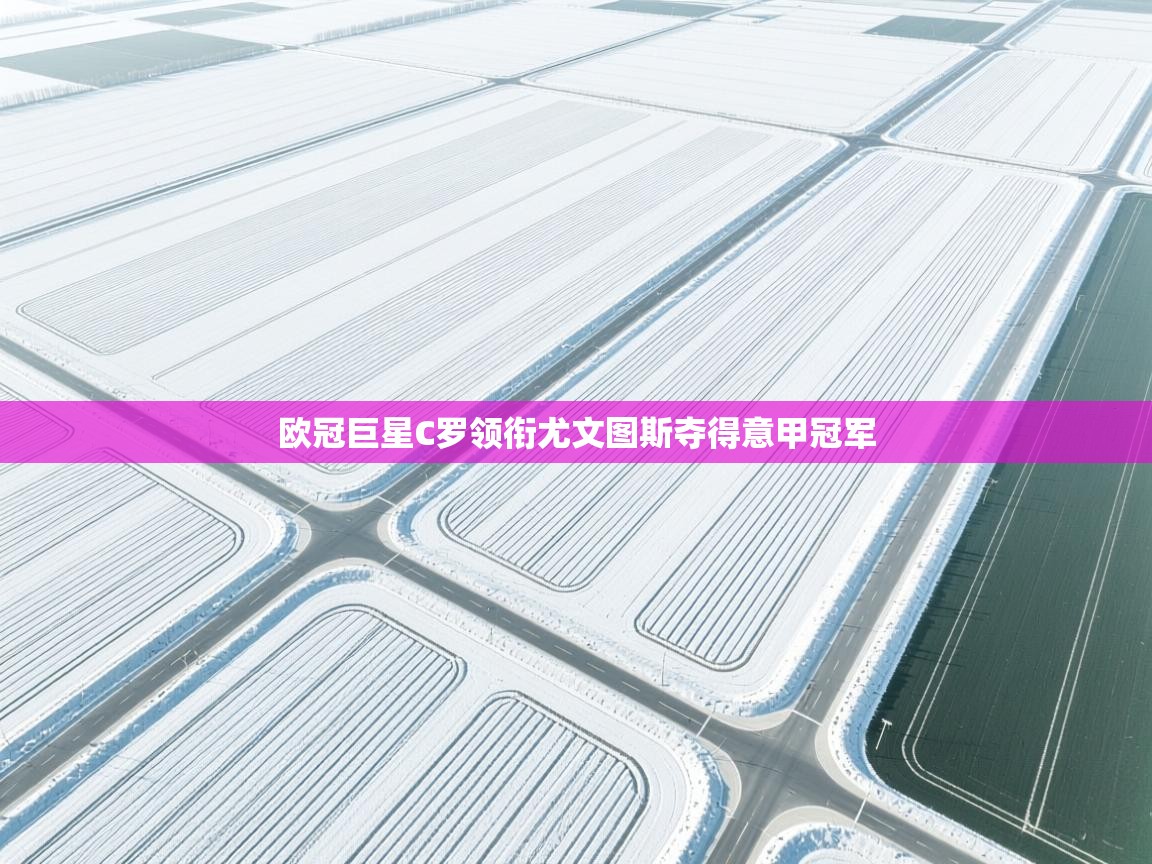 欧冠巨星C罗领衔尤文图斯夺得意甲冠军  第2张