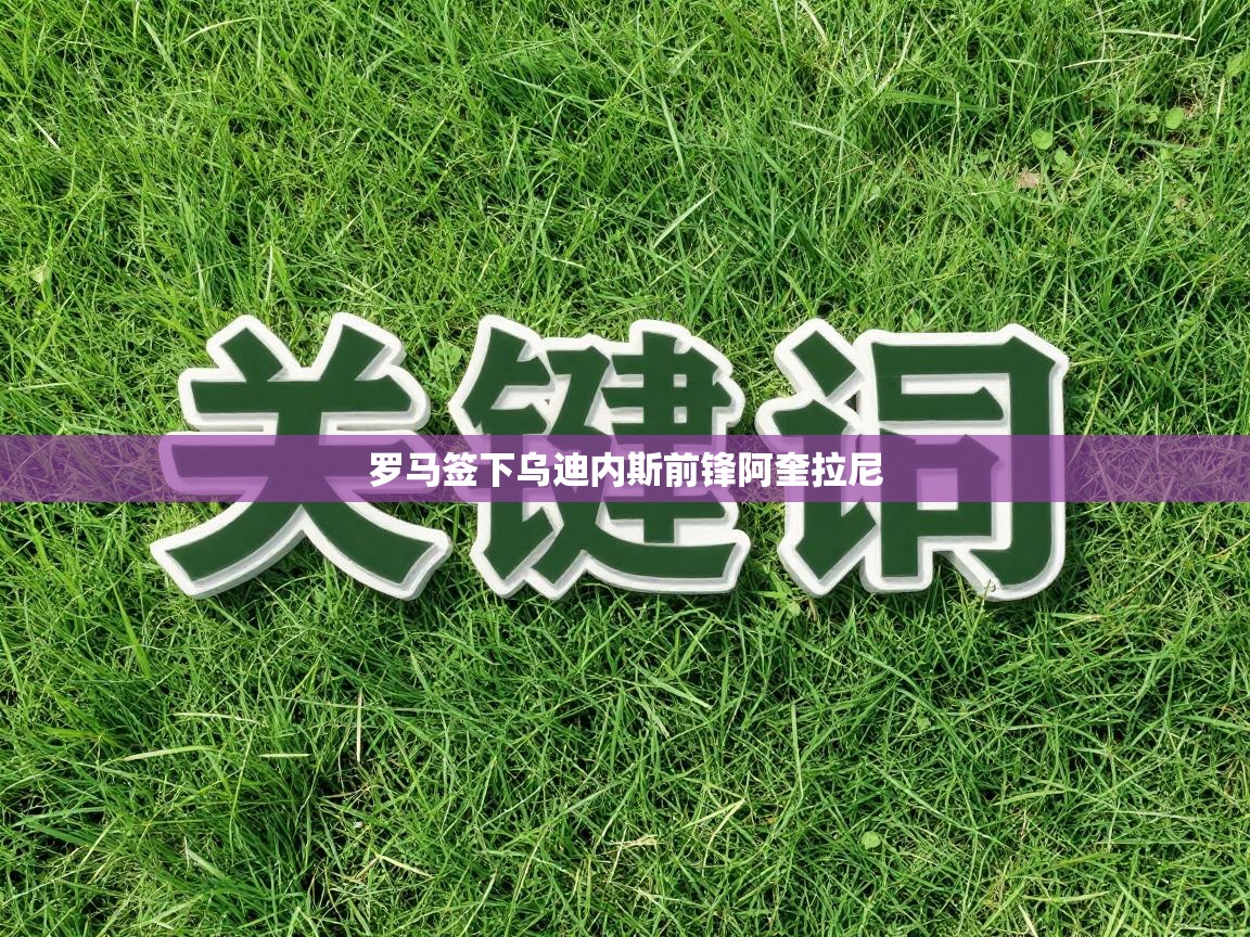 罗马签下乌迪内斯前锋阿奎拉尼  第2张