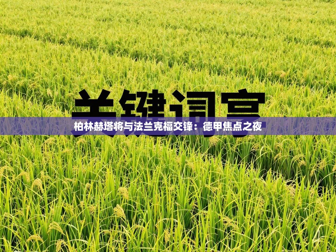 柏林赫塔将与法兰克福交锋:德甲焦点之夜 第1张