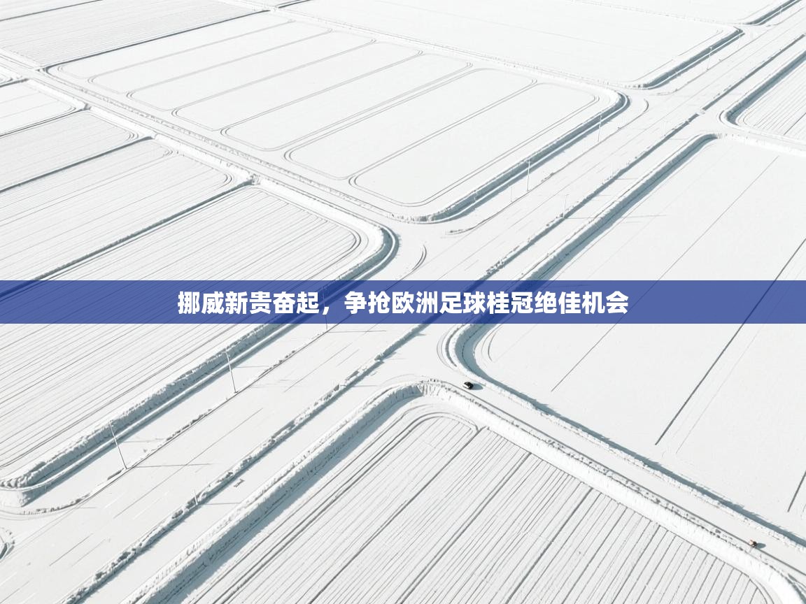 挪威新贵奋起,争抢欧洲足球桂冠绝佳机会 第1张