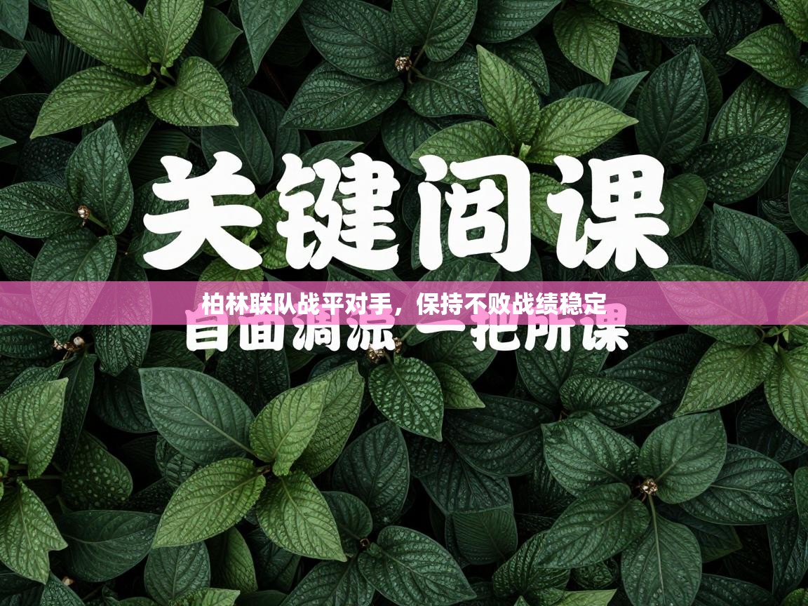 柏林联队战平对手，保持不败战绩稳定  第2张