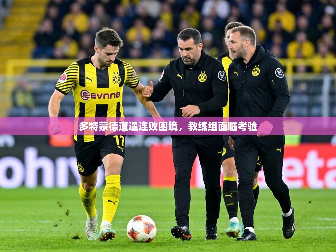 多特蒙德遭遇连败困境,教练组面临考验 第1张